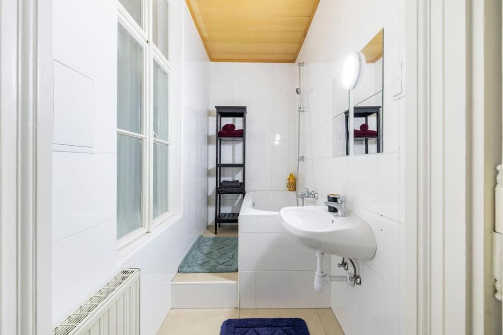 Charming Spacious Apartment فيينا المظهر الخارجي الصورة